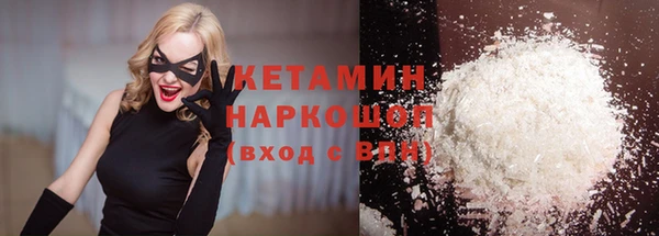 шишки Аркадак