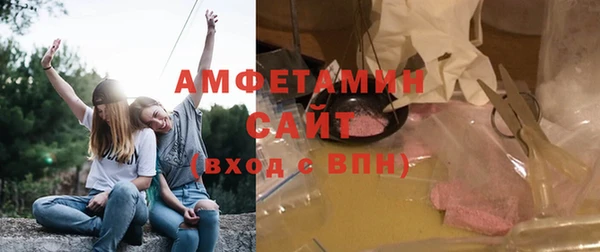 шишки Аркадак