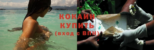 шишки Аркадак