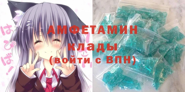 шишки Аркадак