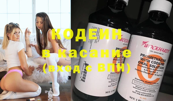 шишки Аркадак