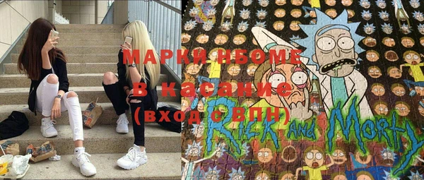 шишки Аркадак
