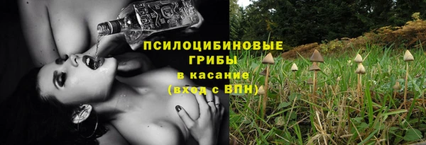 шишки Аркадак